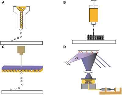 Advances in 3D printing for the repair of tympanic membrane perforation: a comprehensive review